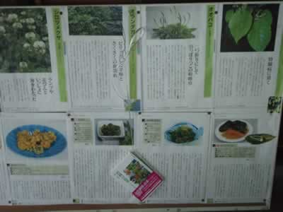 Bulletin of Field Plant Eating Guide in Japanese